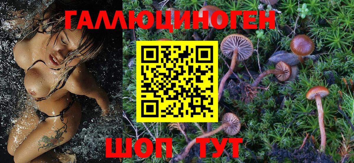 Псилоцибиновые грибы ЛСД Котельники