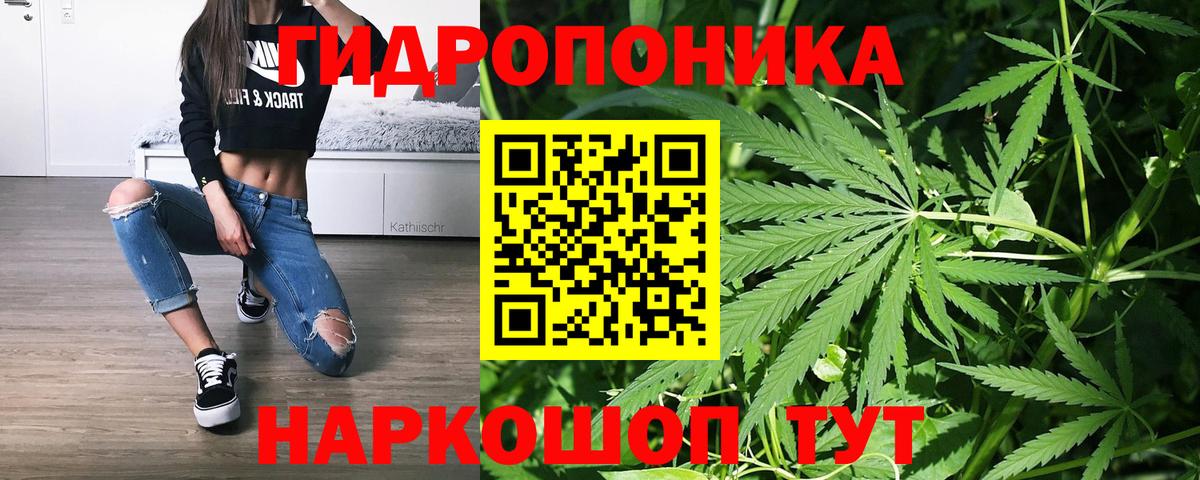 Котельники  Марихуана THC 21%  Вход с VPN  Конопля конопля  Шишки марихуана THC 21% 
